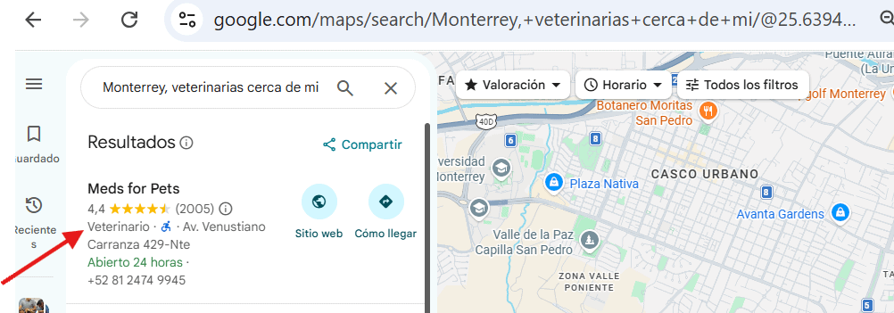 Resultados de Google Maps con la categoría de cada negocio bajo su nombre